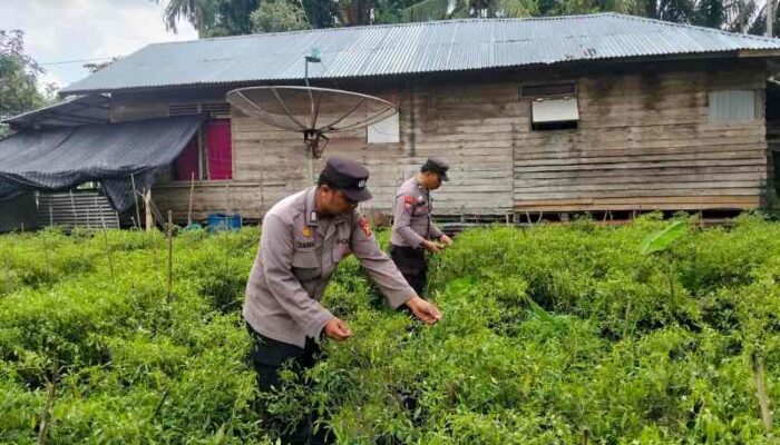 Tak Hanya Jaga Kamtibmas, Polsek KSKP Tembilahan Ajak Warga Pekan Arba Wujudkan Ketahanan Pangan