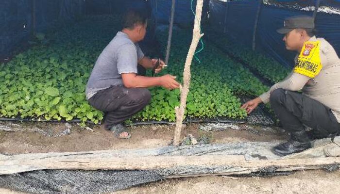 Polsek Tempuling Laksanakan Pengecekan Ketahanan Pangan Dukung Program Swasembada Pangan Polda Riau