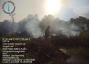 Tiga Karhutla Muncul Sehari di Inhil, BPBD Bergerak Cepat Cegah Meluas