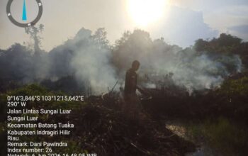 Tiga Karhutla Muncul Sehari di Inhil, BPBD Bergerak Cepat Cegah Meluas