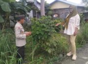 Polsek Enok Pantau Kebun Pekarangan untuk Dukung Swasembada Pangan