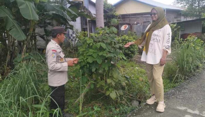 Polsek Enok Pantau Kebun Pekarangan untuk Dukung Swasembada Pangan