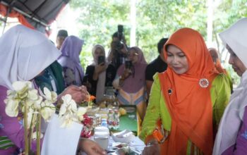 Lomba Kuliner Kelapa dan Sagu di Inhil, Katerina Dorong Lahirnya Produk Unggulan