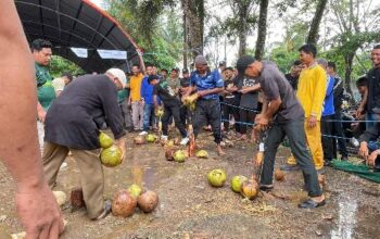 Meriah! Lomba Menyolak Kelapa Warnai Perayaan Milad ke-61 Inhil