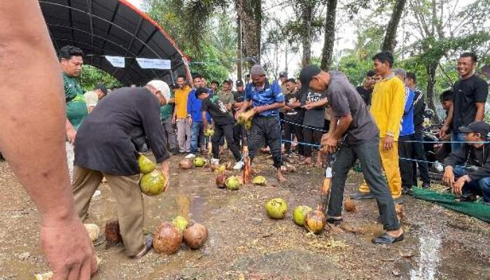 Meriah! Lomba Menyolak Kelapa Warnai Perayaan Milad ke-61 Inhil
