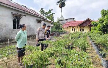 Polsek Tempuling Laksanakan Pengecekan Ketahanan Pangan, Dukung Program Swasembada Pangan Polda Riau