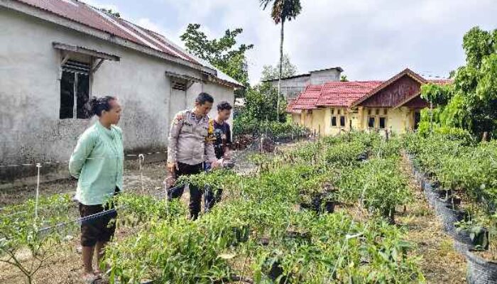 Polsek Tempuling Laksanakan Pengecekan Ketahanan Pangan, Dukung Program Swasembada Pangan Polda Riau