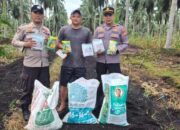 Kapolsek Pelangiran Turun ke Kebun, Bantu Petani Lewat Penyaluran Bibit dan Pupuk