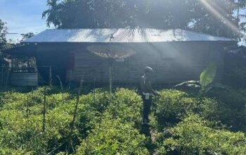 Cara Unik Polsek KSKP Tembilahan Jaga Ketahanan Pangan Warga