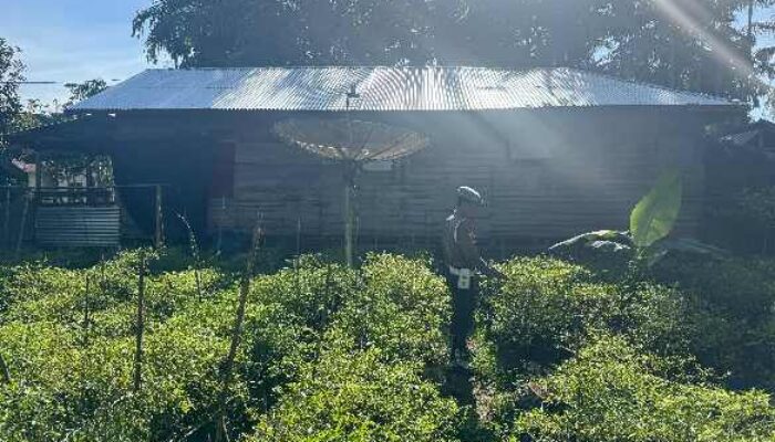 Cara Unik Polsek KSKP Tembilahan Jaga Ketahanan Pangan Warga