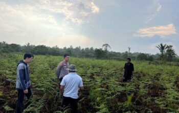 Polsek Mandah Koordinasi Bersama Masyarakat Desa Bente Dukung Penanaman Jagung untuk Swasembada Pangan