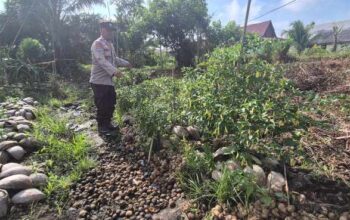 Dukung Ketahanan Pangan, Polsek Pelangiran Pantau Pertumbuhan Tanaman Hortikultura