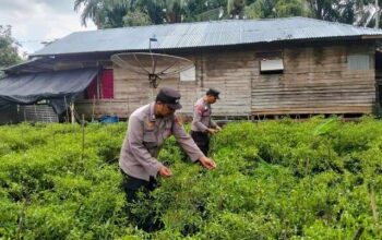2.Polsek KSKP Tembilahan Ajak Warga Tanam Cabai Rawit, Perkuat Ketahanan Pangan dan Tekan Inflasi
