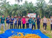 Polsek Sabak Auh Pantau Lahan Jagung Pipil, Dukung Program Ketahanan Pangan Asta Cita di Siak