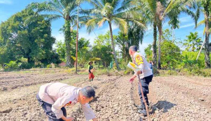 Polsek Sabak Auh Kawal Program Asta Cita, Pantau Pertumbuhan Jagung Pipil di Lahan Ketahanan Pangan