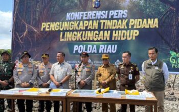 115,2 Hektare Mangrove Rusak, Kapolda Riau Tegaskan Tak Ada Ampun