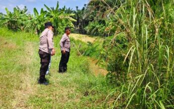 Lahan Jagung Pipil Mulai Disiapkan, Polsek Sabak Auh Turun Langsung ke Lokasi