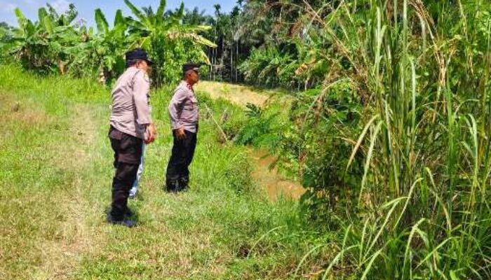 Lahan Jagung Pipil Mulai Disiapkan, Polsek Sabak Auh Turun Langsung ke Lokasi