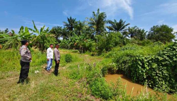 Dukung Ketahanan Pangan Nasional, Polsek Sabak Auh Pastikan Kesiapan Lahan Jagung Pipil 1,5 Hektare