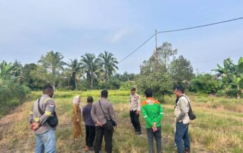 Kapolsek Sabak Auh IPDA Masri Nalzon SE Pimpin Dukungan Program Ketahanan Pangan, Cek Lahan Jagung 1,5 Hektare di Siak