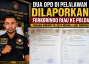 Dua OPD di Pelalawan Dilaporkan Forkorindo Riau ke Polda, Dugaan Korupsi 2024 Kembali Jadi Sorotan