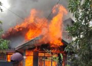 Rumah Warga di Tembilahan Terbakar, Petugas Gabungan Langsung Bergerak