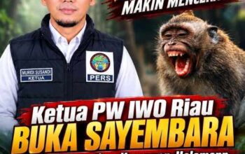 Teror Monyet Liar Makin Meresahkan, Ketua PW IWO Riau Siapkan Hadiah Penangkap