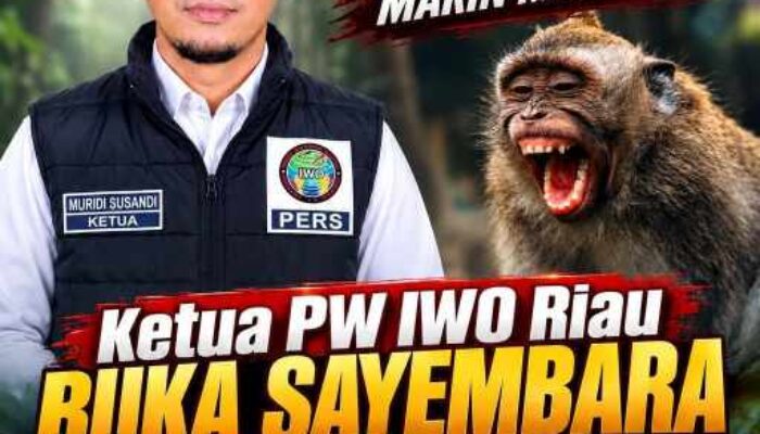 Teror Monyet Liar Makin Meresahkan, Ketua PW IWO Riau Siapkan Hadiah Penangkap