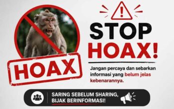 Hadapi Gangguan Monyet Liar, Pemkab Inhil Ajak Masyarakat Utamakan Keselamatan dan Jangan Mudah Percaya Hoaks