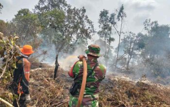 Tim Gabungan Terus Lakukan Pemadaman Karhutla di Dua Lokasi di Inhil