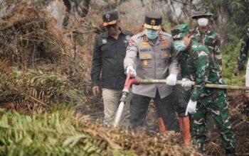 Kapolda Riau dan Pangdam Tuanku Tambusai Patroli Udara Karhutla, Turun Langsung Padamkan Api di Pelalawan