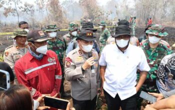 Menteri LH dan Guru Besar Kehutanan Cek Karhutla di Kampar, Kapolda Paparkan Dashboard Green Policing
