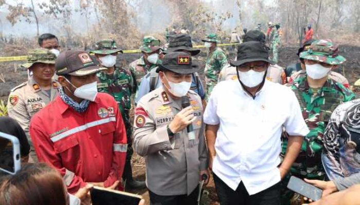 Menteri LH dan Guru Besar Kehutanan Cek Karhutla di Kampar, Kapolda Paparkan Dashboard Green Policing