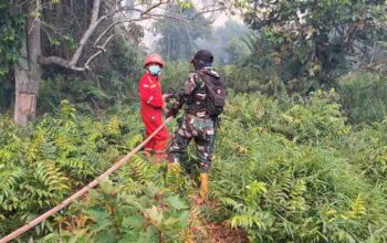 Berjibaku di Tengah Asap dan Gambut, Personel Kodim 0314/Inhil Kejar Bara Karhutla Sungai Beringin