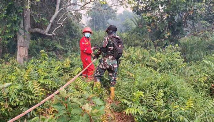 Berjibaku di Tengah Asap dan Gambut, Personel Kodim 0314/Inhil Kejar Bara Karhutla Sungai Beringin