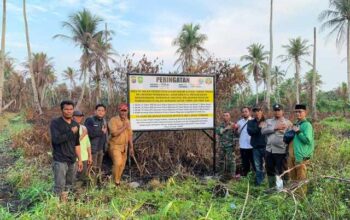 Lahan Bekas Terbakar Dipasangi Plang, Polda Riau Ungkap Tujuannya