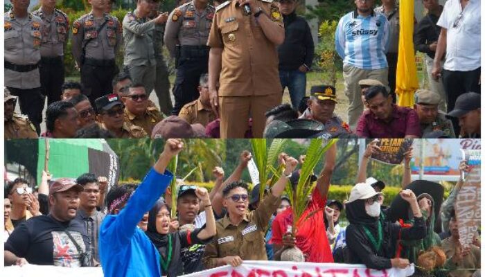 Petani Kelapa Inhil Tertekan, Ini Respons Bupati Herman
