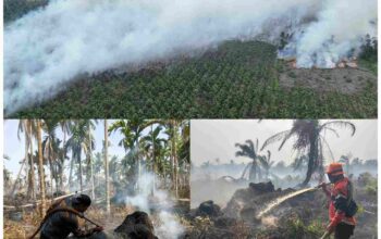 80 Hotspot Terdeteksi di Inhil, Kecamatan Ini Paling Banyak