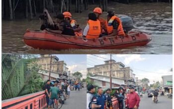 Korban Gigitan Monyet Liar di Tembilahan Jadi 10, Tim Sisir Kolong Rumah