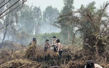 Bertambah, Polda Riau Kini Tangani 45 Kasus Karhutla, 49 Orang Jadi Tersangka