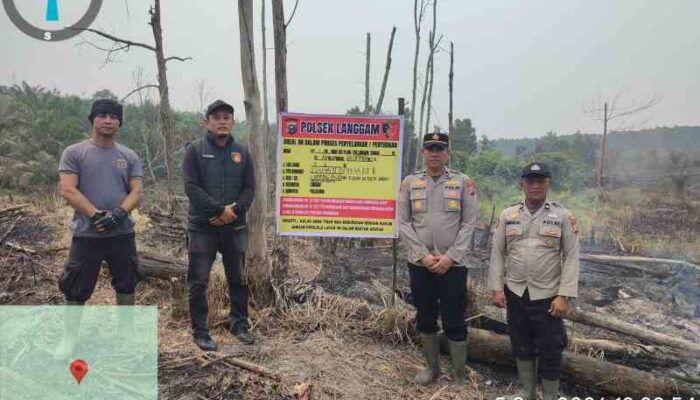 Polres Pelalawan Tangkap Tersangka Karhutla 1,5 Hektare di Langgam