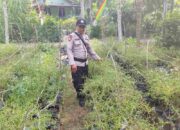 Dari Pekan Arba untuk Ketahanan Pangan, Polsek KSKP Tembilahan Gerakkan Warga Tanam Cabai Rawit