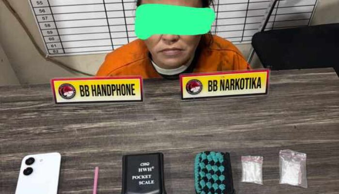 Sabu 4,24 Gram Disita, Perempuan di Keritang Diamankan Satresnarkoba Inhil