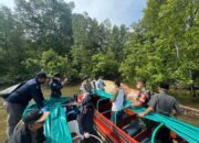 Misteri Satwa Laut di Sungai Bahale Mandah, Tim KKP Lakukan Identifikasi