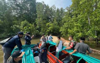 Misteri Satwa Laut di Sungai Bahale Mandah, Tim KKP Lakukan Identifikasi