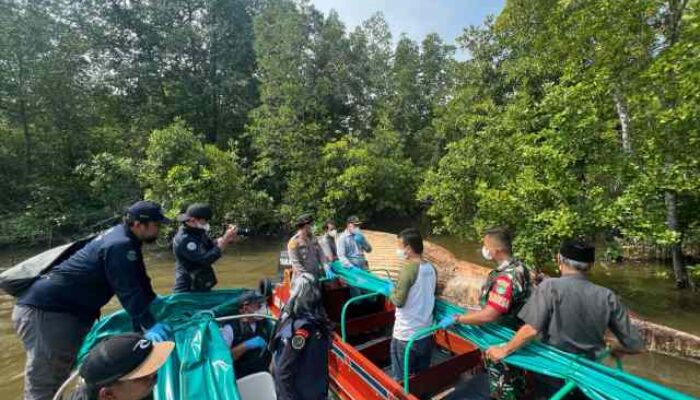 Misteri Satwa Laut di Sungai Bahale Mandah, Tim KKP Lakukan Identifikasi