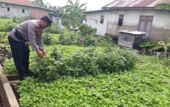 Tak Hanya Jaga Pelabuhan, Polsek KSKP Inhil Turun Tangan Hidupkan Lahan Warga
