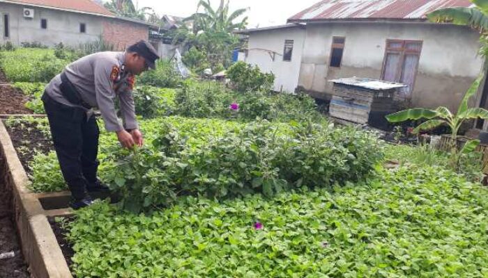 Tak Hanya Jaga Pelabuhan, Polsek KSKP Inhil Turun Tangan Hidupkan Lahan Warga