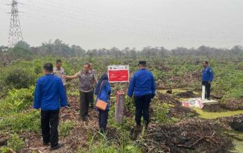 Sisir Lokasi Rawan Kebakaran di Pekanbaru, BPBD Pastikan Tak Ada Lagi Titik Api