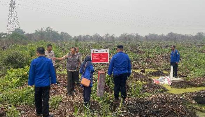 Sisir Lokasi Rawan Kebakaran di Pekanbaru, BPBD Pastikan Tak Ada Lagi Titik Api